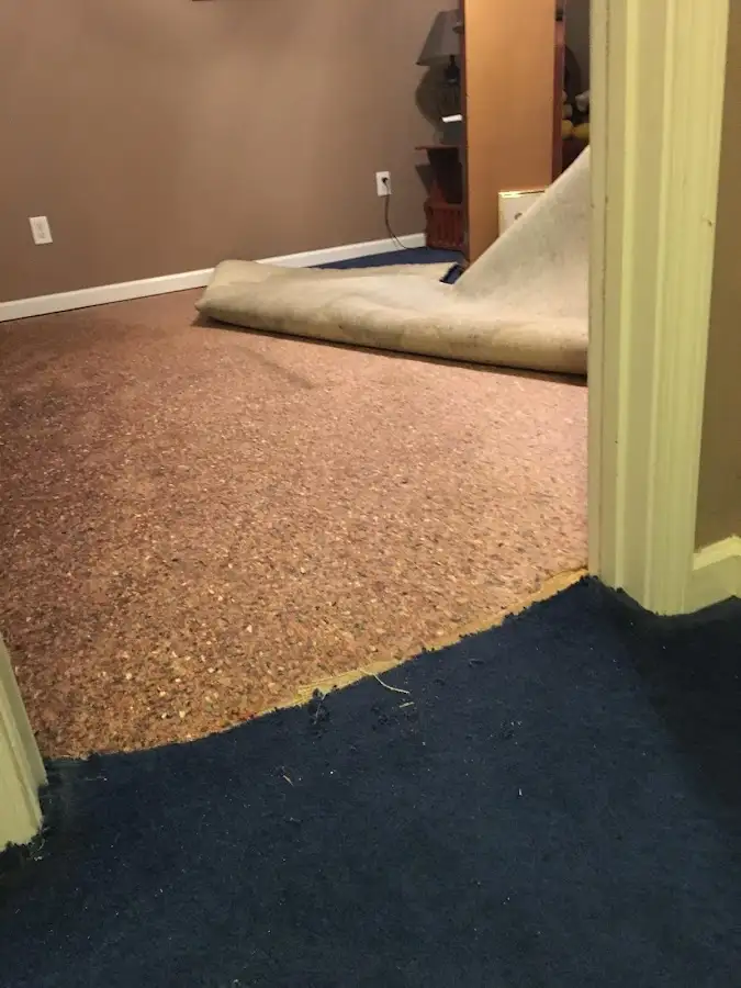 Carpet pad removal revealing water damage during Drying & Dehumidification in Burke
