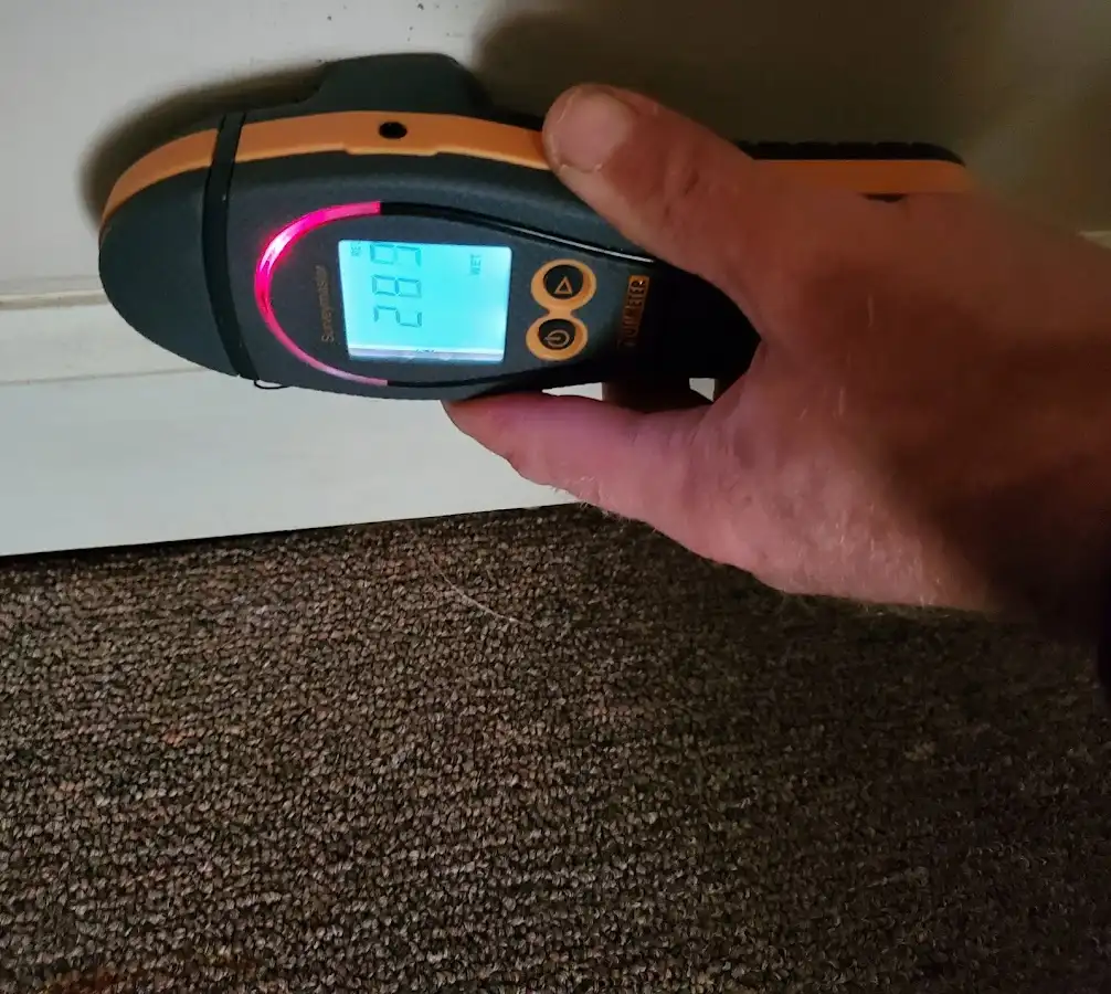 Moisture detection at baseboard during Sewage Cleanup & Sanitation in Burke